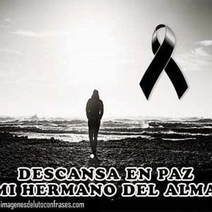 Meet your Posher, Benito